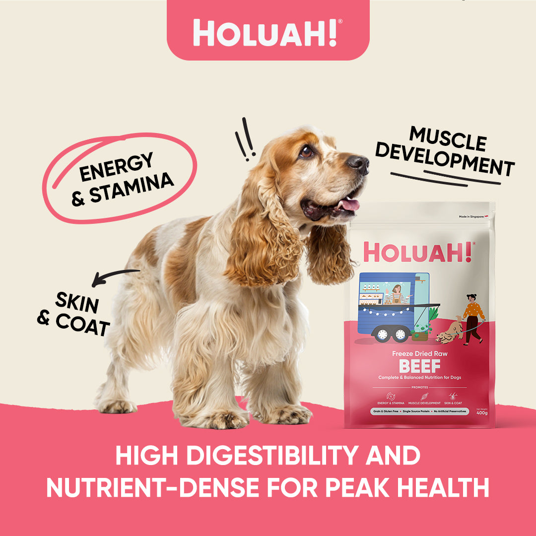 Holuah! Freeze Dried Food For Dogs - Beef 400g