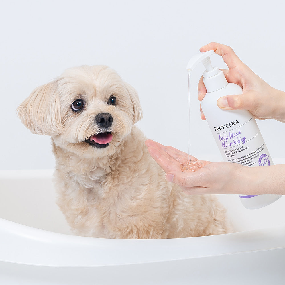 PetO' CERA Body Wash Nourishing 500 mL for Dogs