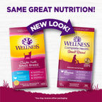 [FREE WIPE + 20% OFF] Wellness Complete Health Small Breed Age Advantage (Senior) Dry Dog Food [Wt: 4 lb]