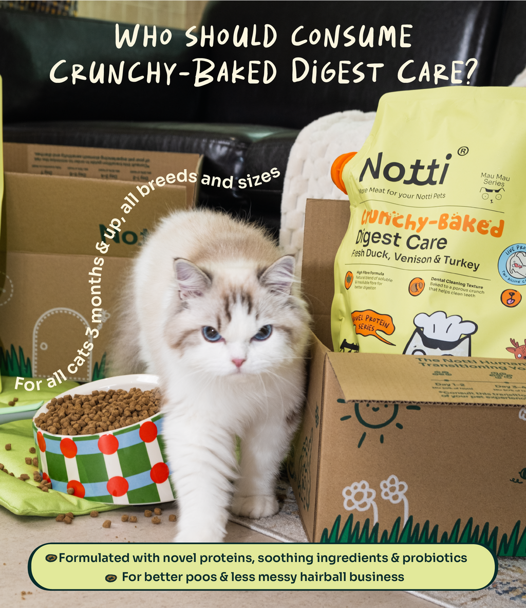 [10% OFF] Notti Crunchy-Baked Digest Care Fresh Duck, Venison & Turkey Dry Cat Food 2kg