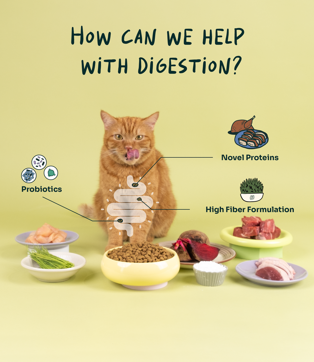 [10% OFF] Notti Crunchy-Baked Digest Care Fresh Duck, Venison & Turkey Dry Cat Food 2kg
