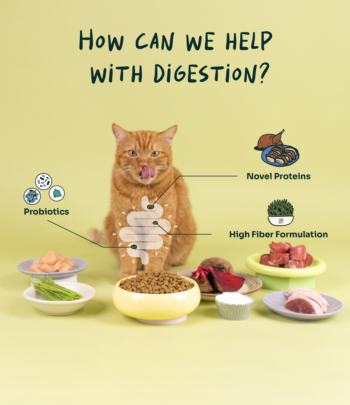 [10% OFF] Notti Crunchy-Baked Digest Care Fresh Duck, Venison & Turkey Dry Cat Food 2kg