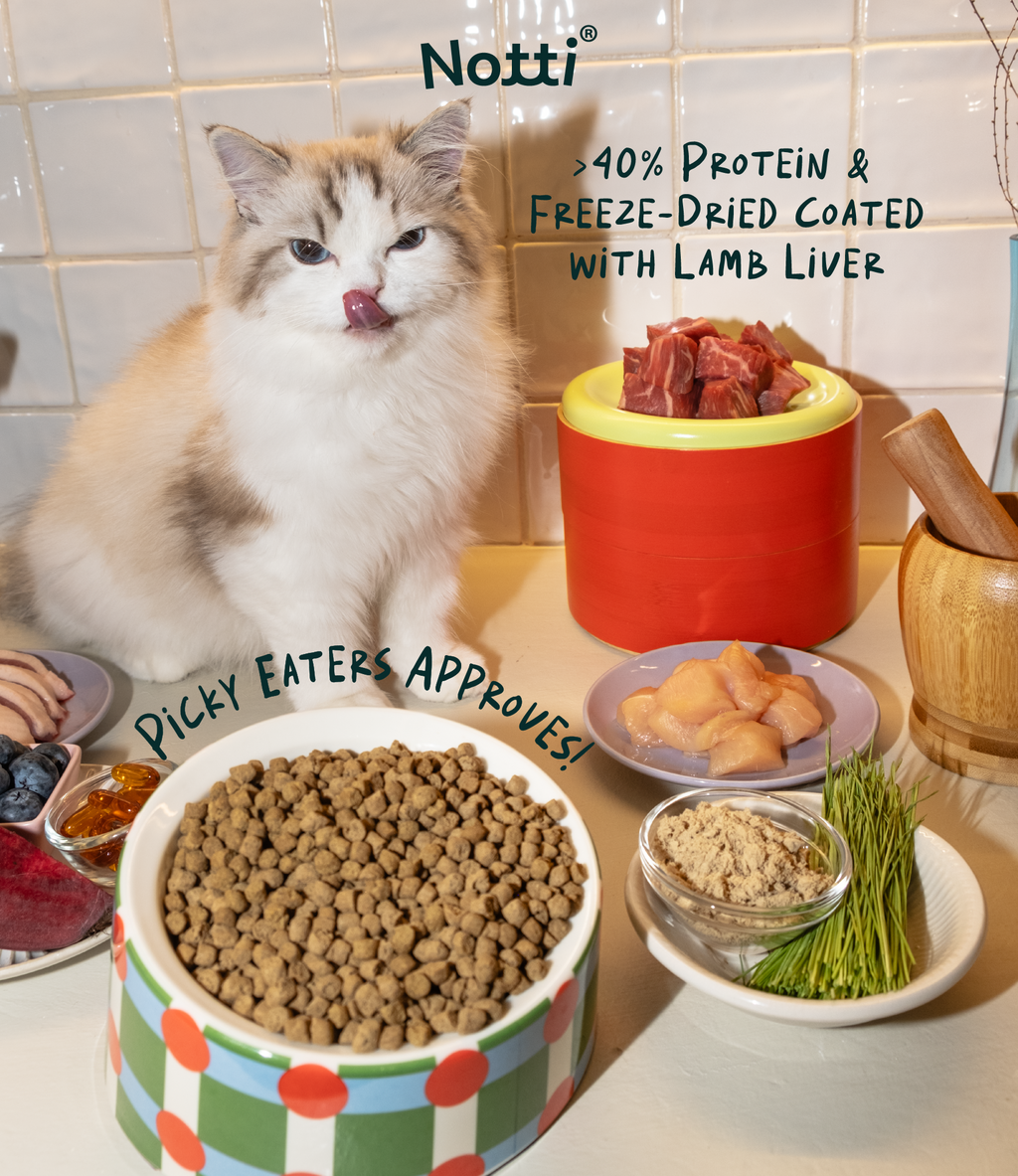 [10% OFF] Notti Crunchy-Baked Digest Care Fresh Duck, Venison & Turkey Dry Cat Food 2kg