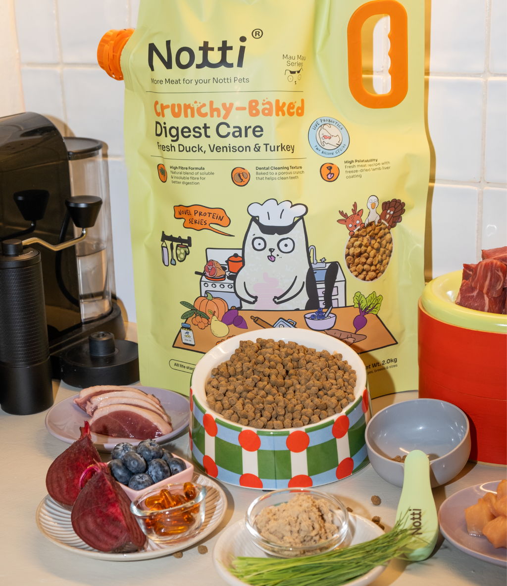 [10% OFF] Notti Crunchy-Baked Digest Care Fresh Duck, Venison & Turkey Dry Cat Food 2kg