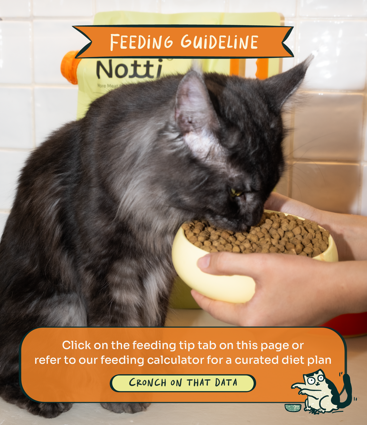 [10% OFF] Notti Crunchy-Baked Digest Care Fresh Duck, Venison & Turkey Dry Cat Food 2kg