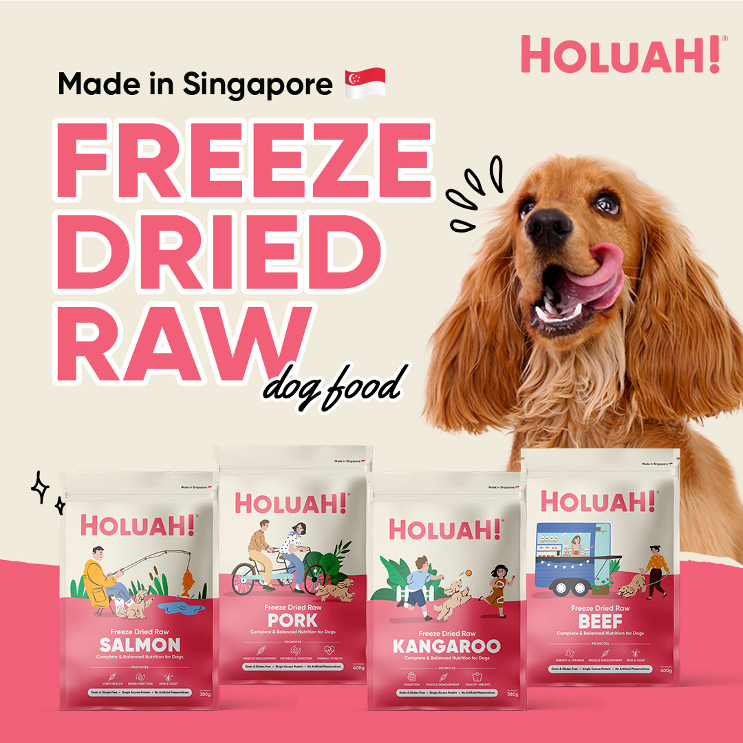 Holuah! Freeze Dried Food For Dogs (4 Flavours Available)