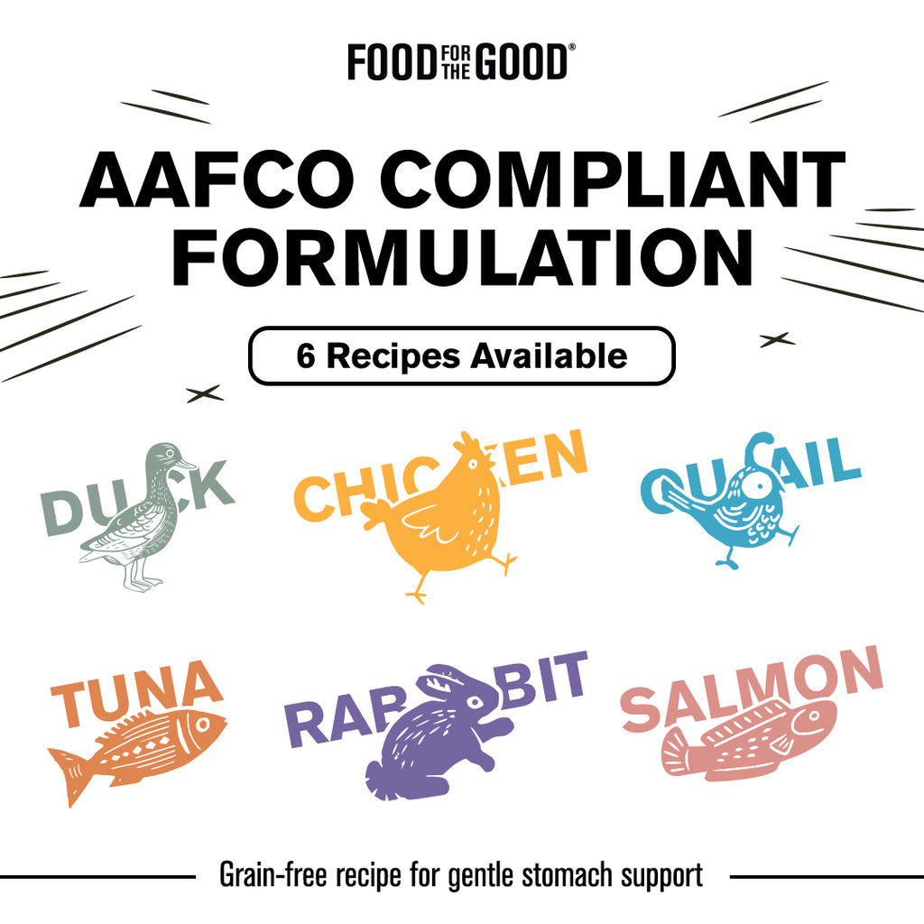 Food For The Good Smoothies - Duck Cat Can 80g