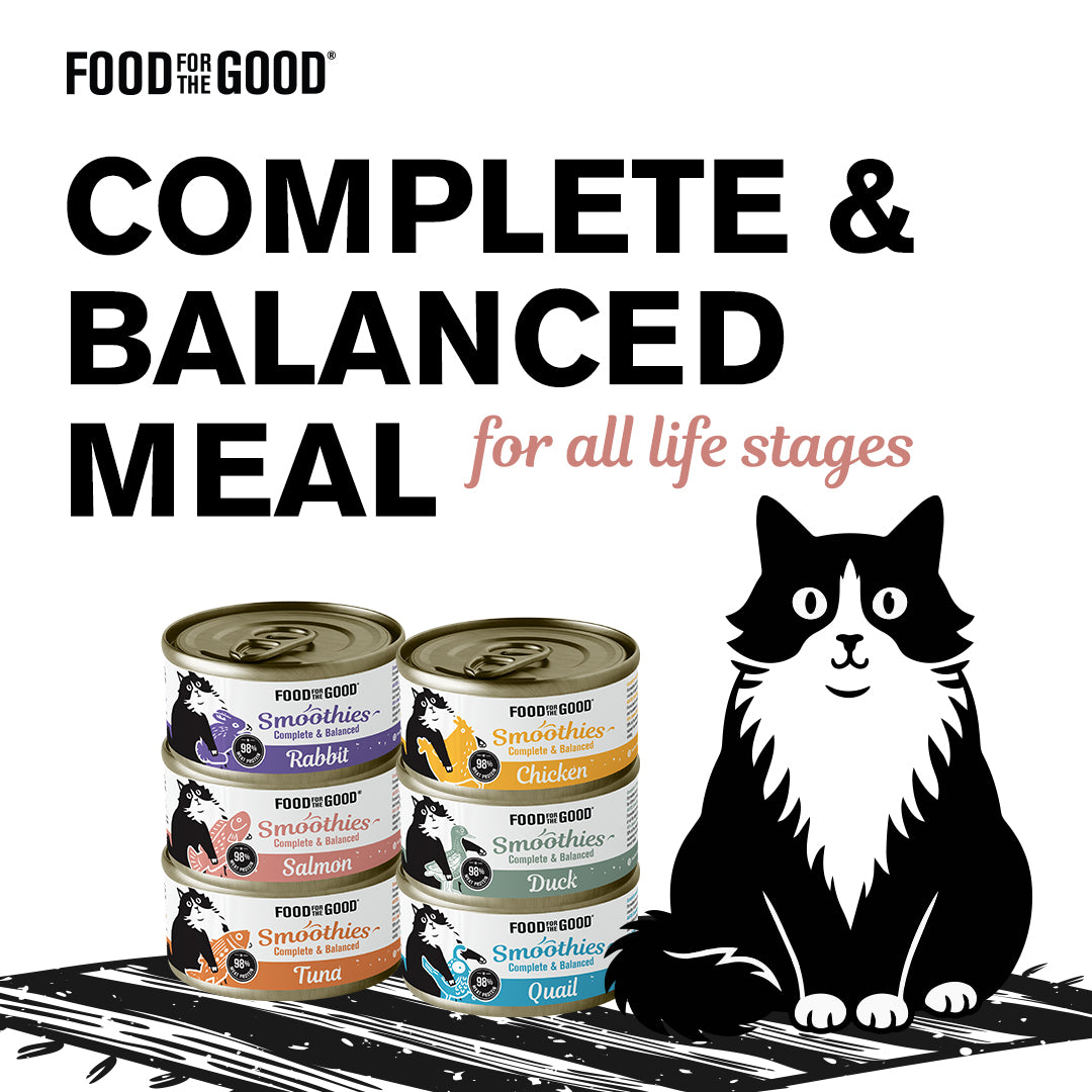 Food For The Good Smoothies - Duck Cat Can 80g