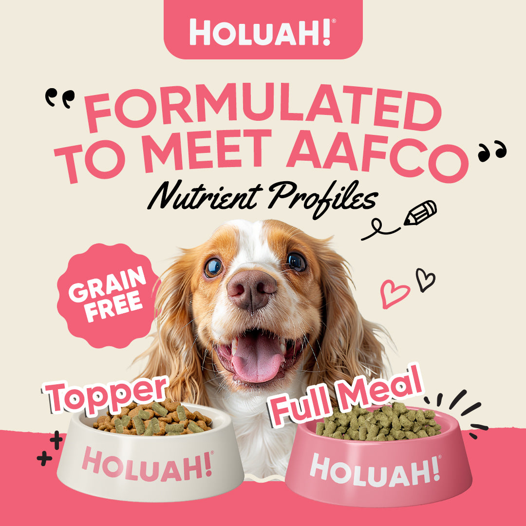 Holuah! Freeze Dried Food For Dogs (4 Flavours Available)