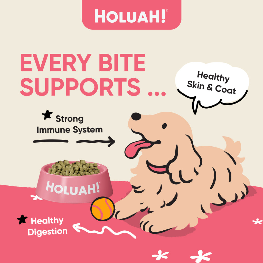 Holuah! Freeze Dried Food For Dogs (4 Flavours Available)