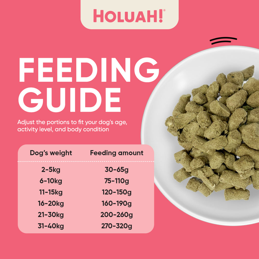 Holuah! Freeze Dried Food For Dogs (4 Flavours Available)