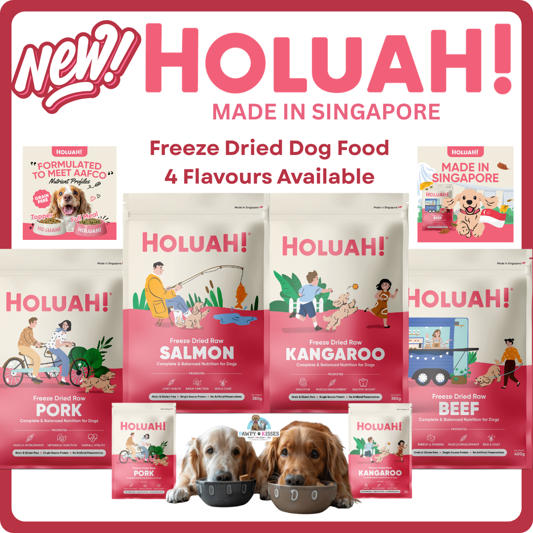 Holuah! Freeze Dried Food For Dogs (4 Flavours Available)