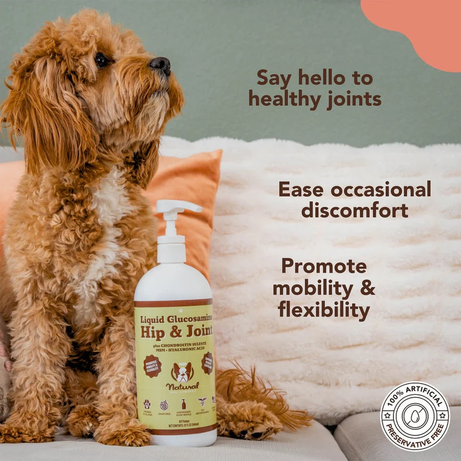 [Vet Approved] Natural Dog Company Hip & Joint Oil Supplement For Dogs 16oz