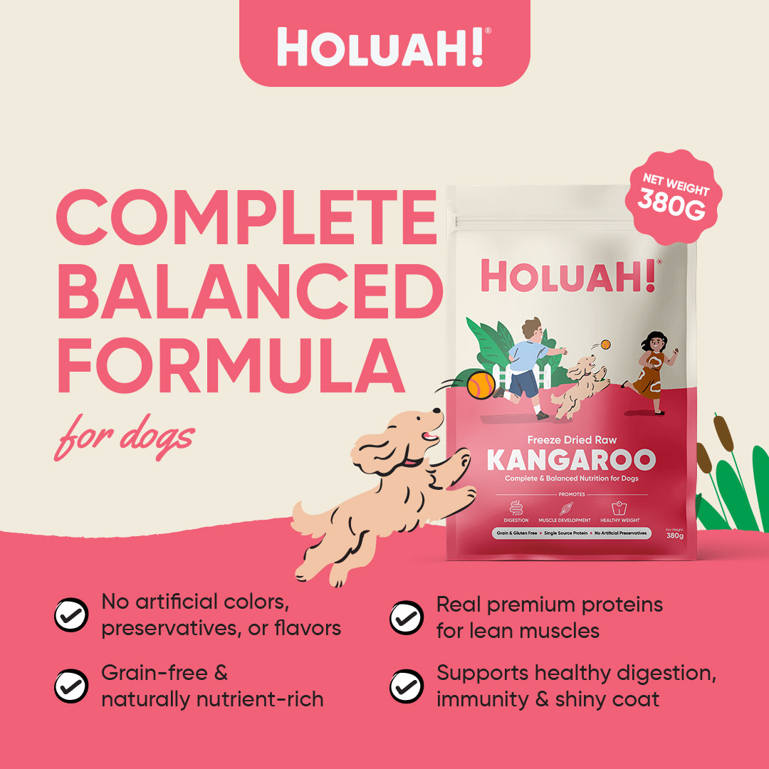 Holuah! Freeze Dried Food For Dogs - Kangaroo 380g