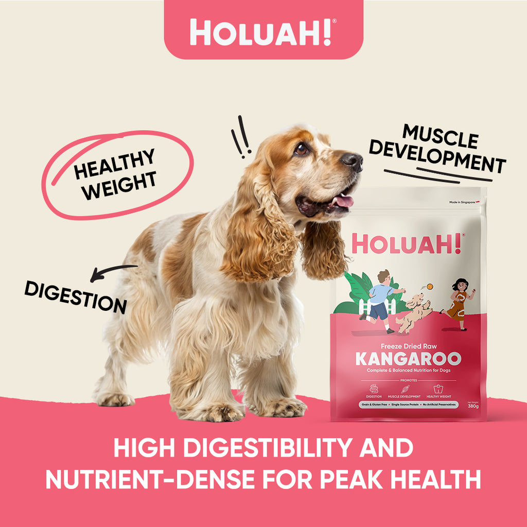 Holuah! Freeze Dried Food For Dogs - Kangaroo 380g