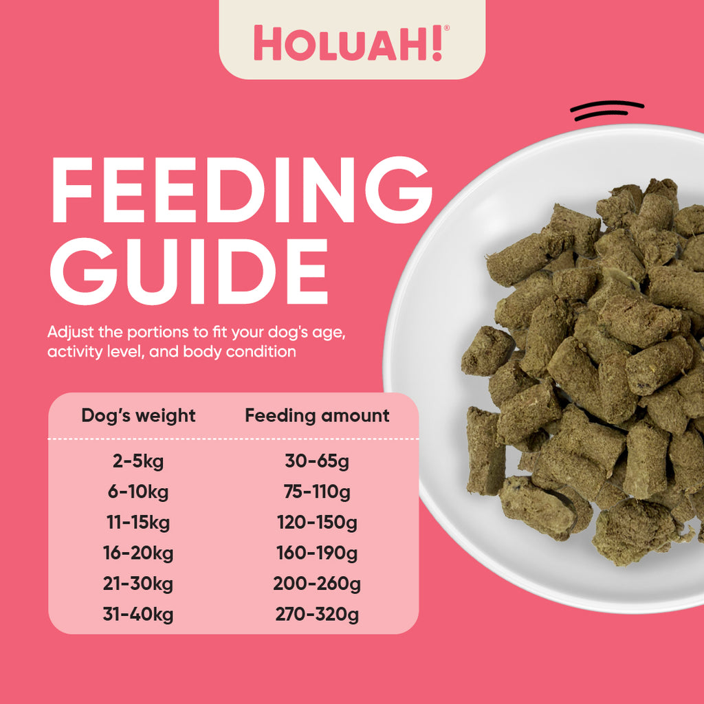 Holuah! Freeze Dried Food For Dogs - Kangaroo 380g