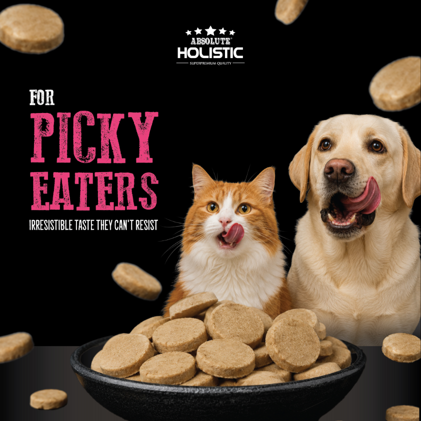 Absolute Holistic Freeze Dried Raw Treats for Cats & Dogs - Beef Burger (60g)