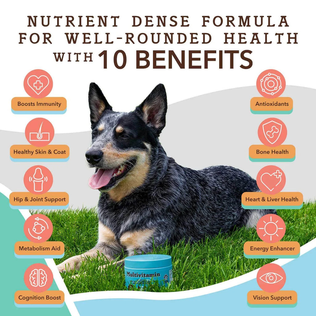 [Vet Approved] Natural Dog Supplement Multivitamin (90 chews)