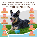 [Vet Approved] Natural Dog Supplement Multivitamin (90 chews)