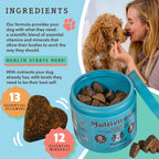[Vet Approved] Natural Dog Supplement Multivitamin (90 chews)