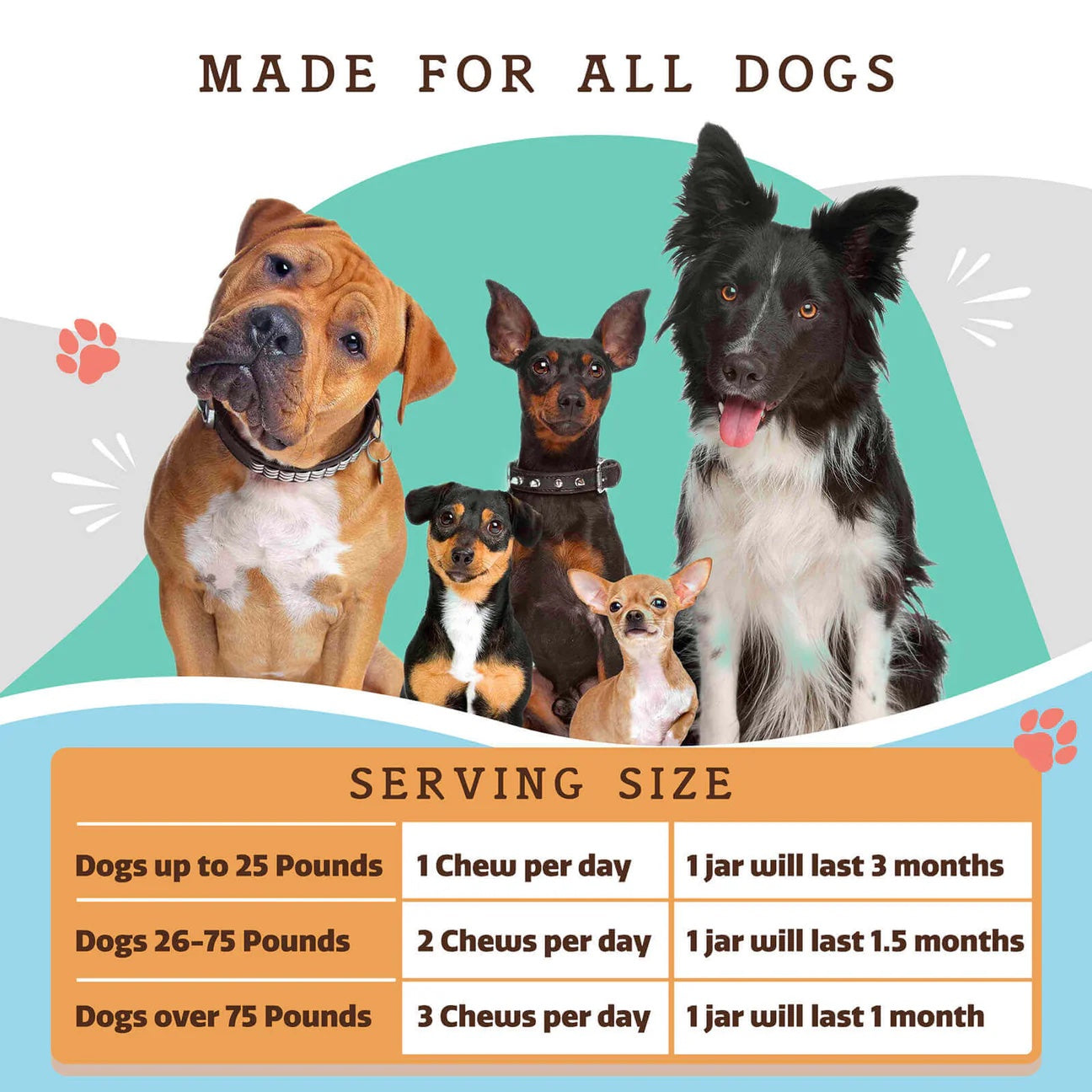 [Vet Approved] Natural Dog Supplement Multivitamin (90 chews)