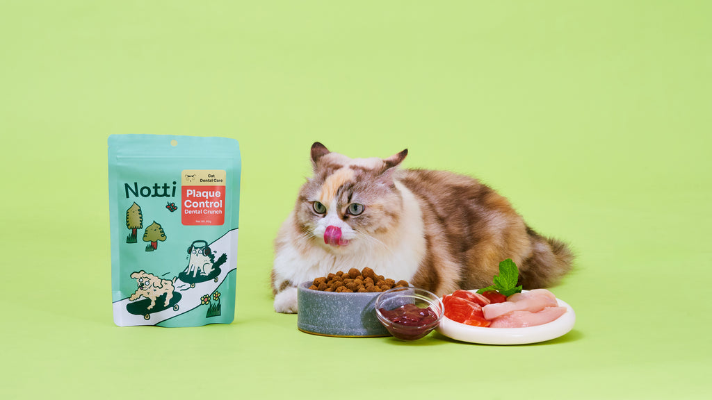 [10% OFF] Notti Mau Mau Plaque Control Dental Crunch (For Cats) Treats For Cats 80g