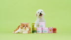 [10% OFF] Notti But I have Bad Breath (natural breath freshener additive) 100ml For Dogs & Cats