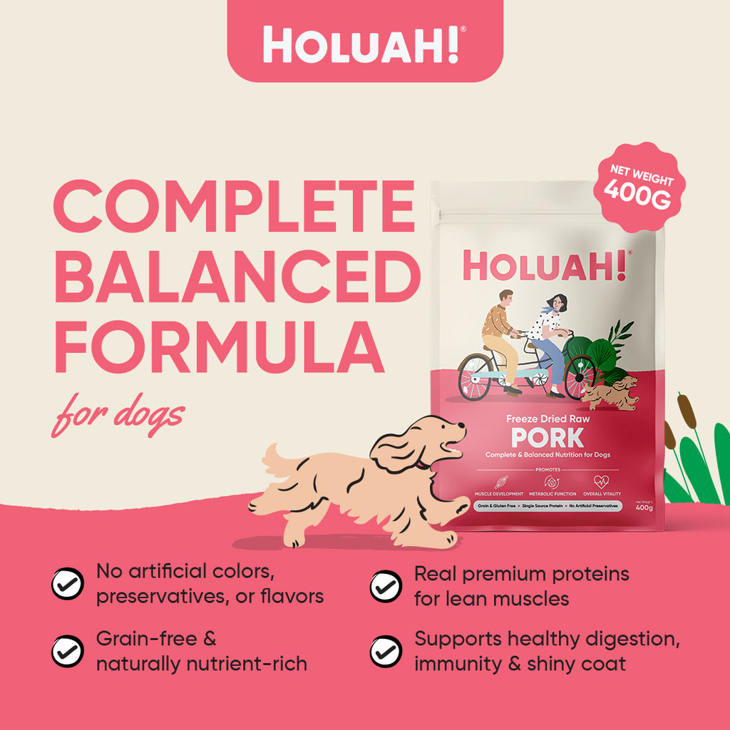 Holuah! Freeze Dried Food For Dogs - Pork 400g