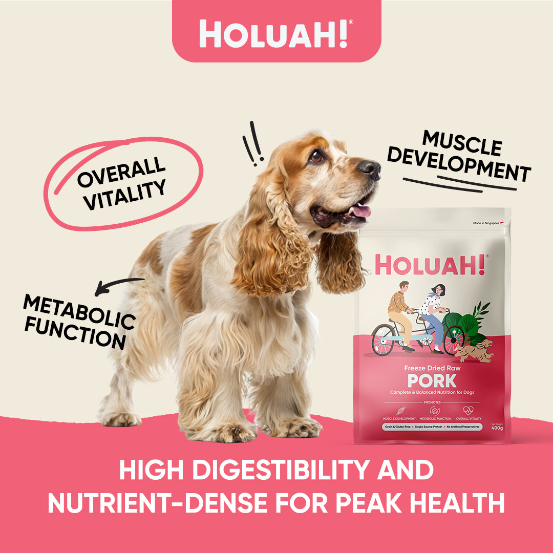 Holuah! Freeze Dried Food For Dogs - Pork 400g