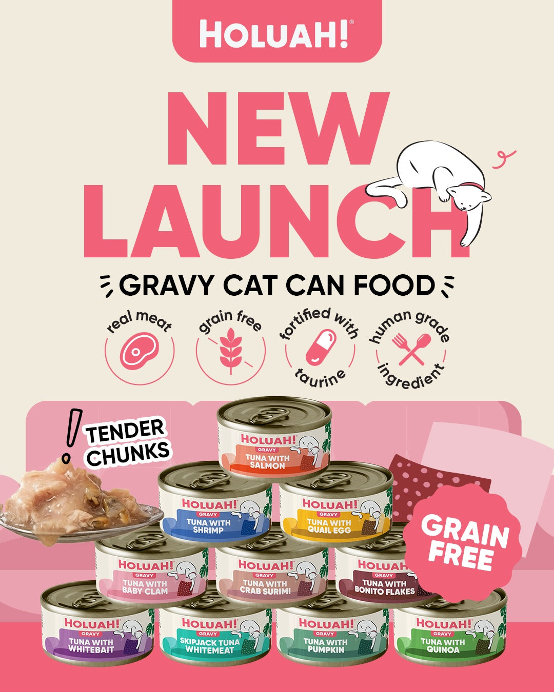Holuah! Grain Free Gravy Cat Canned Foods 80g [10 Flavours]