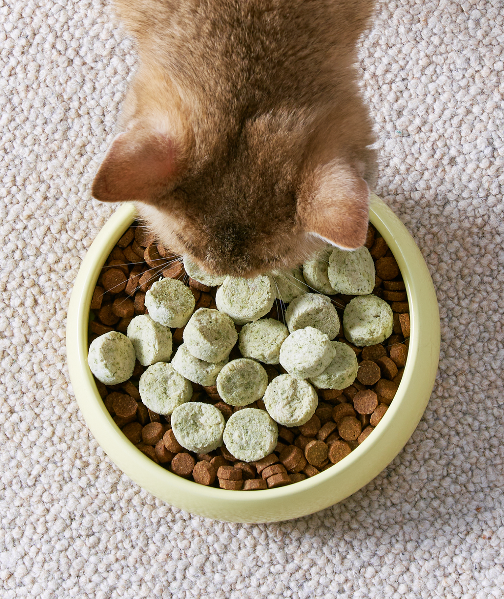 [10% OFF] Notti ActivePlay Catnip Freeze-Dried Chunks 50g Treats For Dogs & Cats