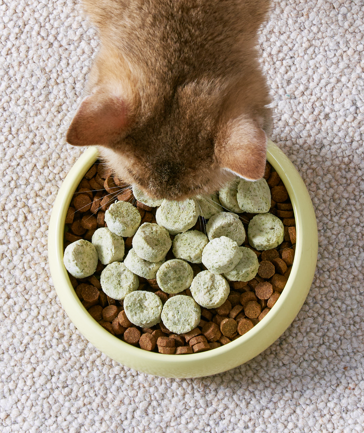 [10% OFF] Notti ActivePlay Catnip Freeze-Dried Chunks 50g Treats For Dogs & Cats