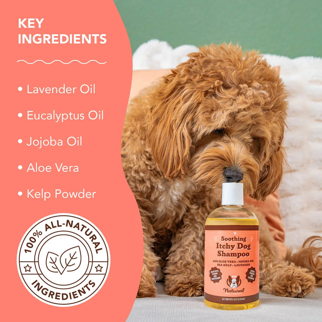 Natural Dog Company Itchy Dog Shampoo 12oz