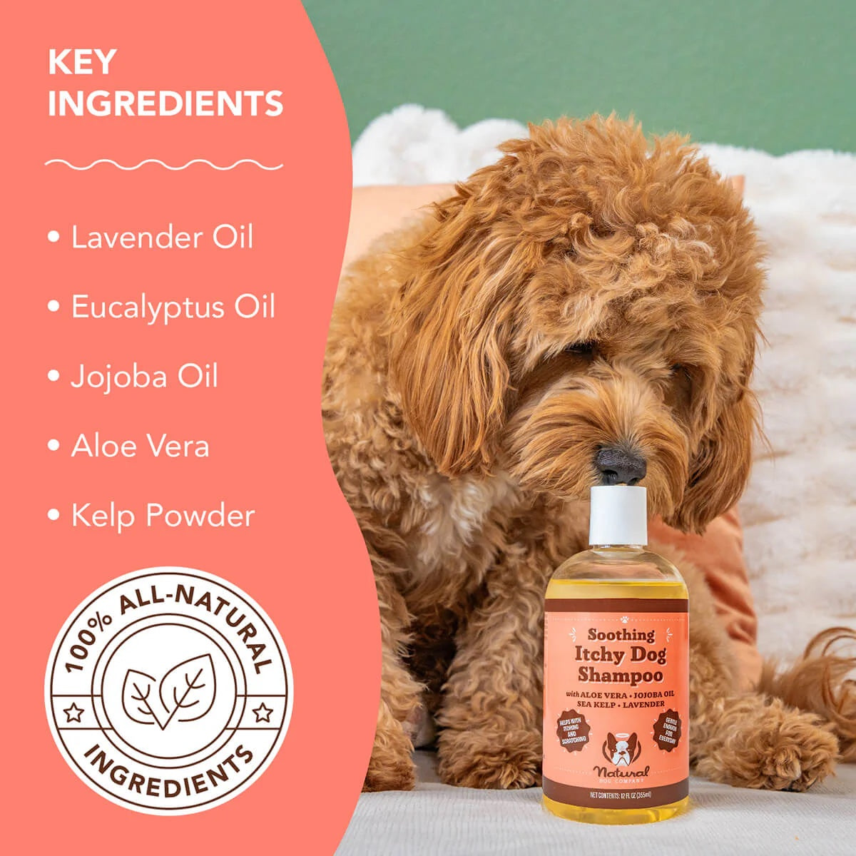Natural Dog Company Itchy Dog Shampoo 12oz