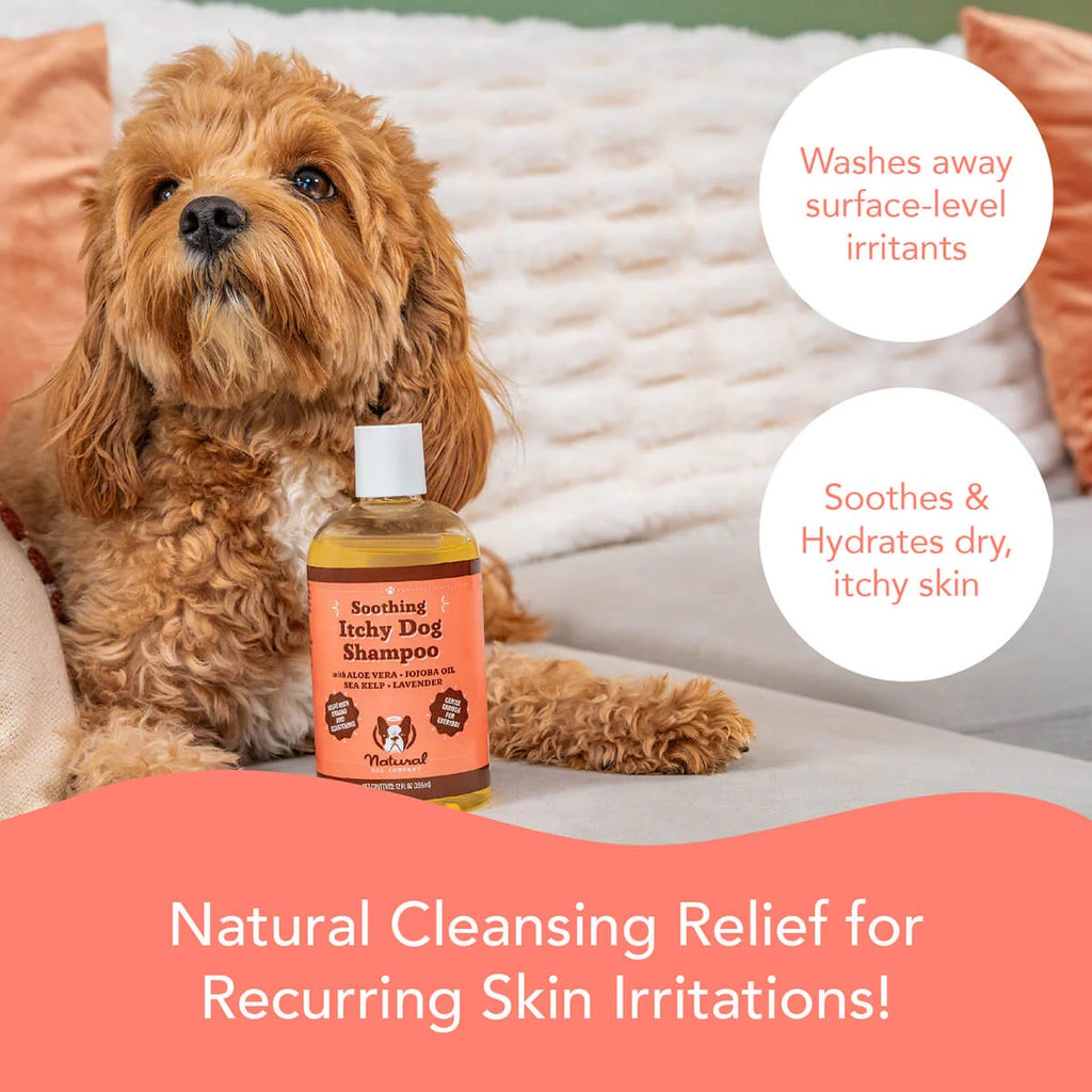 Natural Dog Company Itchy Dog Shampoo 12oz