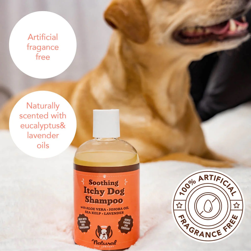 Natural Dog Company Itchy Dog Shampoo 12oz