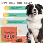 [Vet Approved] Natural Dog Skin & Coat Supplement (90 Chews)