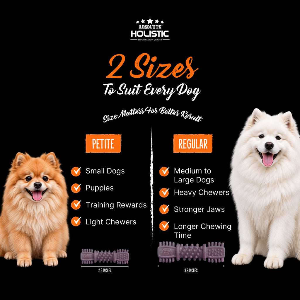 Absolute Holistic BOOST! Dental Chew Value Tub for Dogs - Blueberry | Regular 3.8 Inch - 40PCS (1KG)