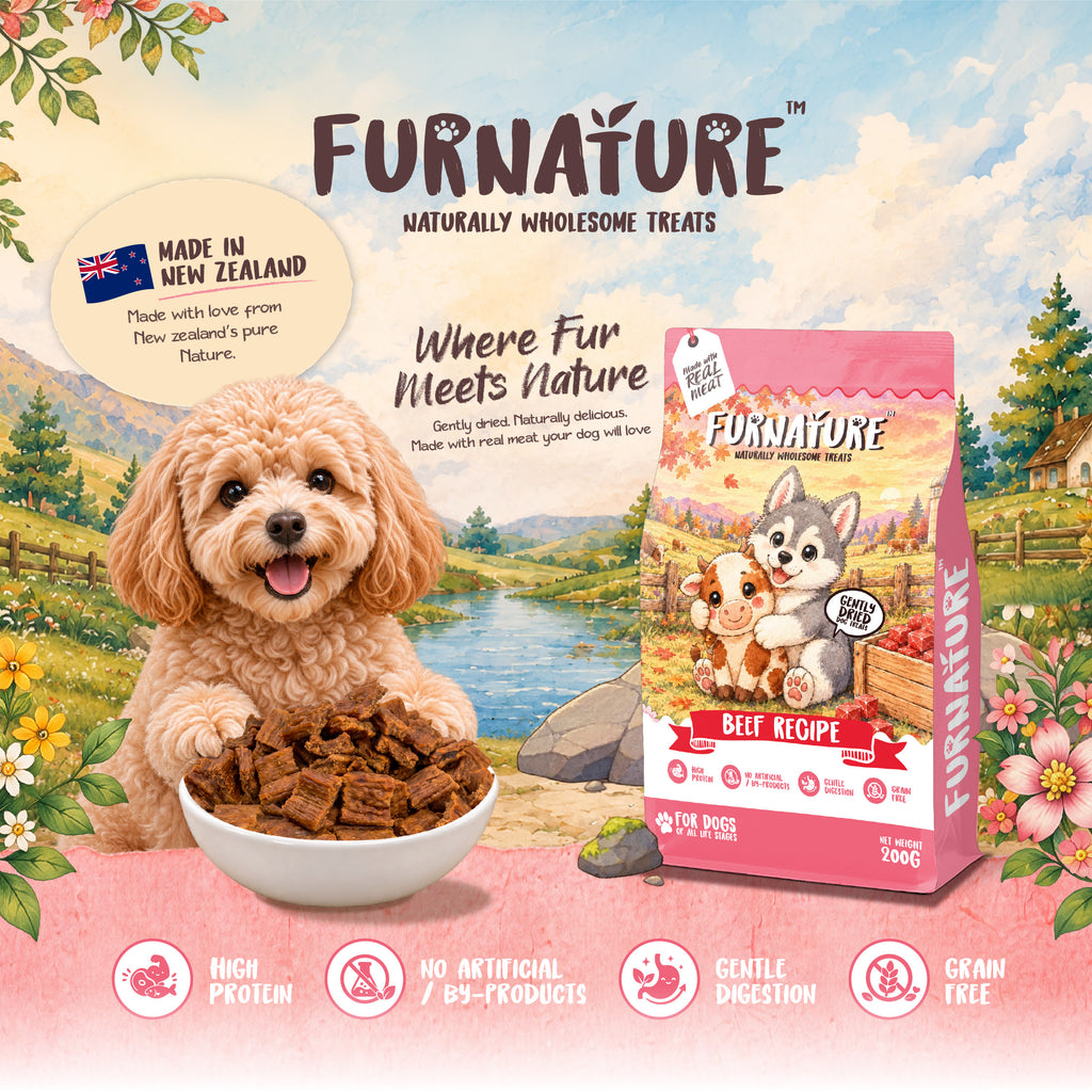 Fur Nature Natural Wholesome Gently Dried Dog Treats - Beef Recipe (200g)