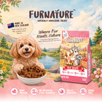 Fur Nature Natural Wholesome Gently Dried Dog Treats - Beef Recipe (200g)