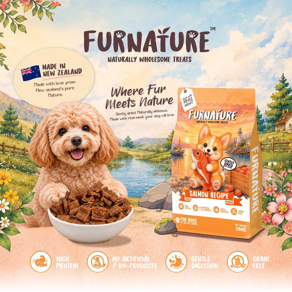 Fur Nature Natural Wholesome Gently Dried Dog Treats - Salmon Recipe (200g)