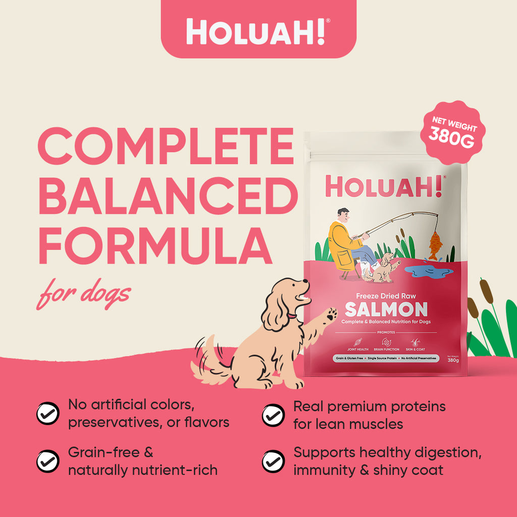 Holuah! Freeze Dried Food For Dogs - Salmon 380g