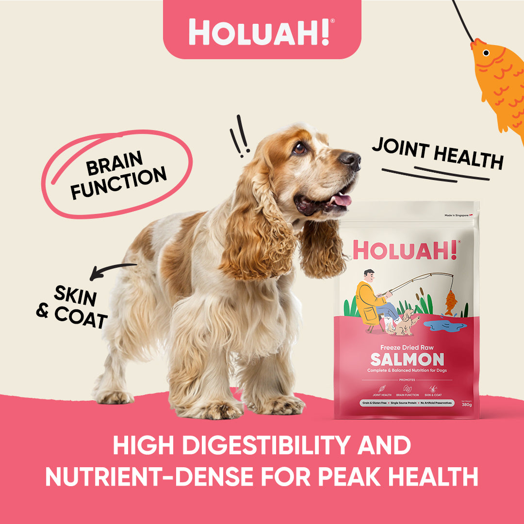 Holuah! Freeze Dried Food For Dogs - Salmon 380g
