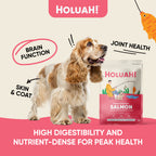 Holuah! Freeze Dried Food For Dogs (4 Flavours Available)