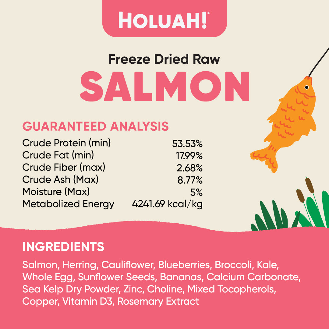 Holuah! Freeze Dried Food For Dogs - Salmon 380g