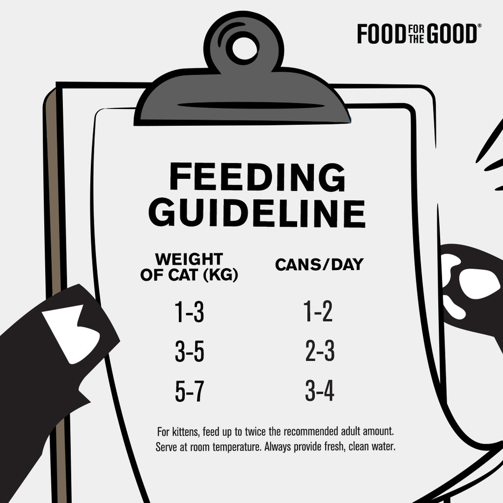 Food For The Good Smoothies - Salmon Cat Can 80g
