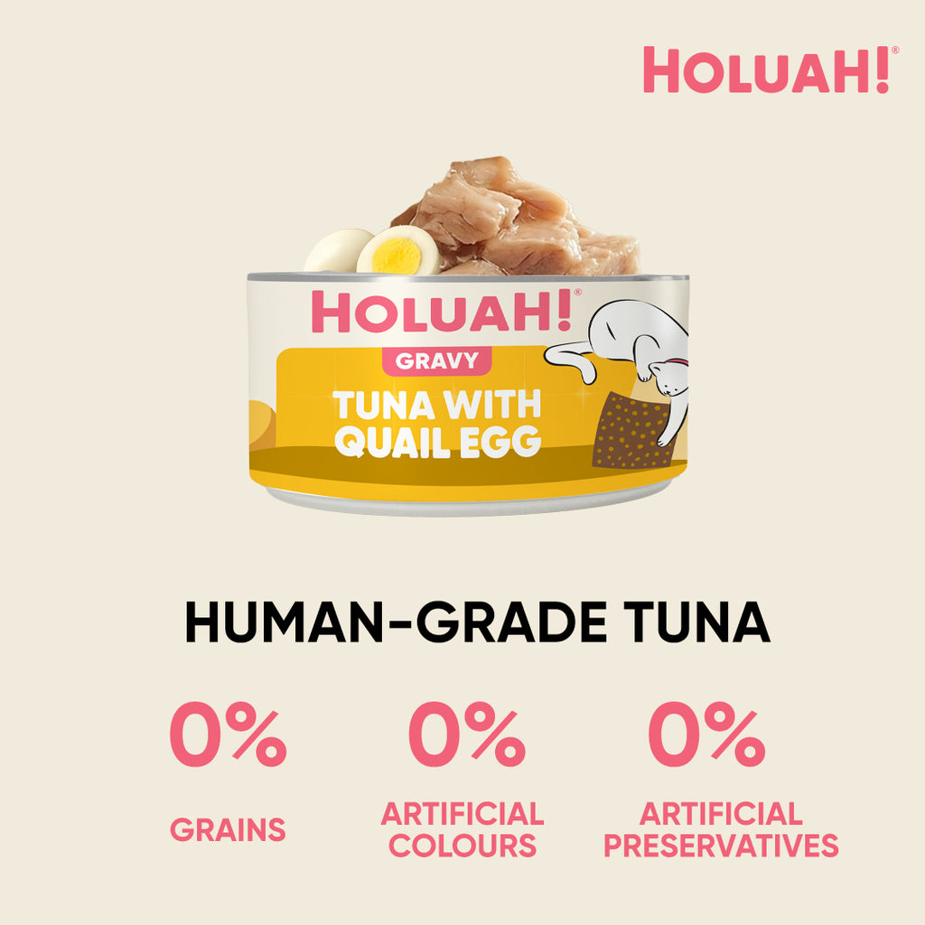 Holuah! Gravy Cat Can - Tuna with Quail Egg 80g