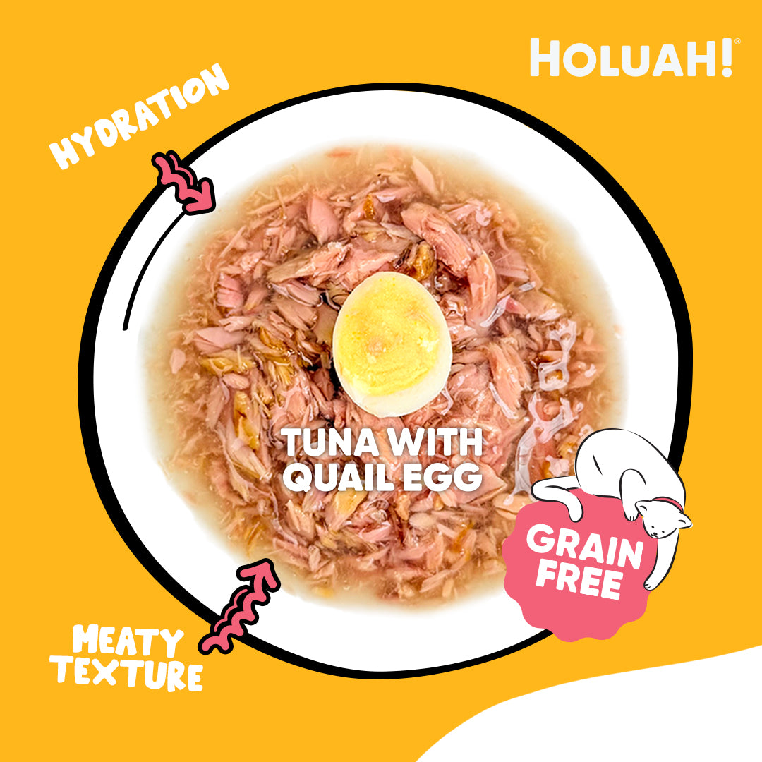 Holuah! Grain Free Gravy Cat Canned Foods 80g [10 Flavours]