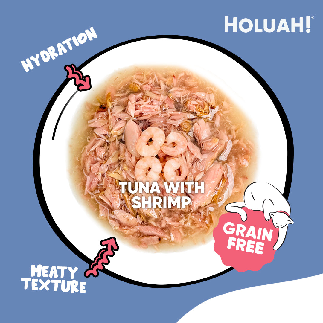 Holuah! Grain Free Gravy Cat Canned Foods 80g [10 Flavours]