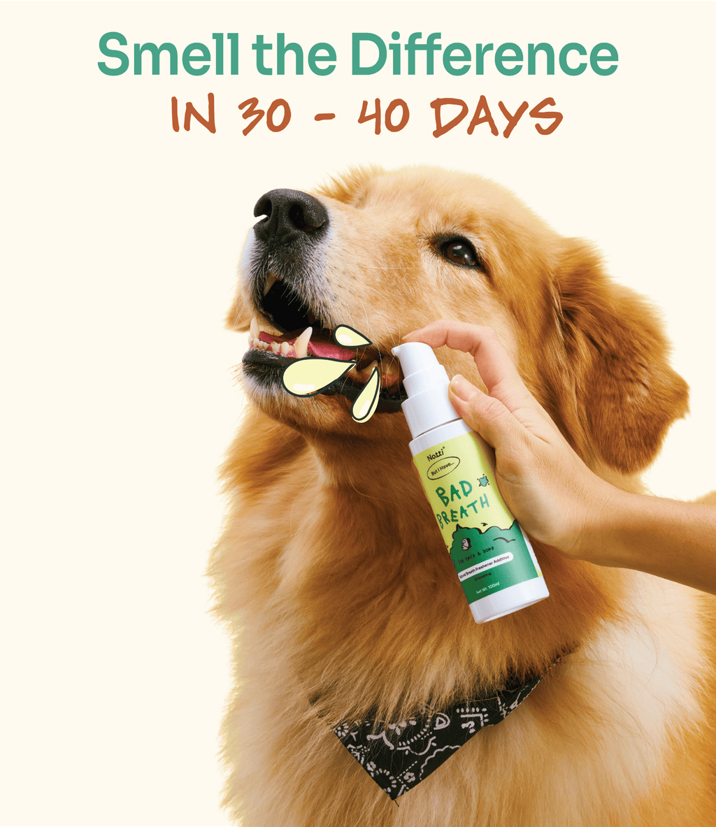 [10% OFF] Notti But I have Bad Breath (natural breath freshener additive) 100ml For Dogs & Cats